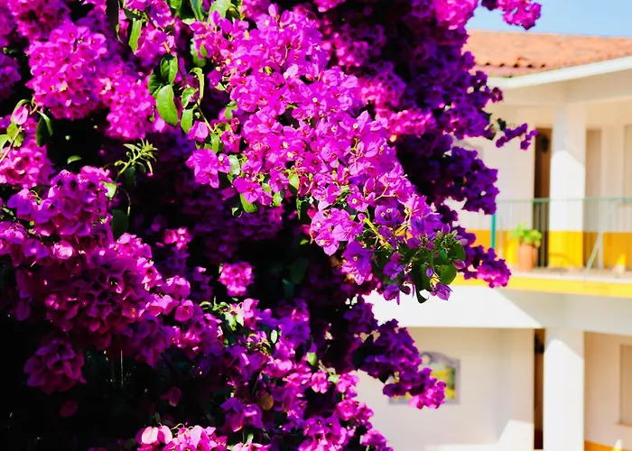 Costa Brava Alojamento Benedita